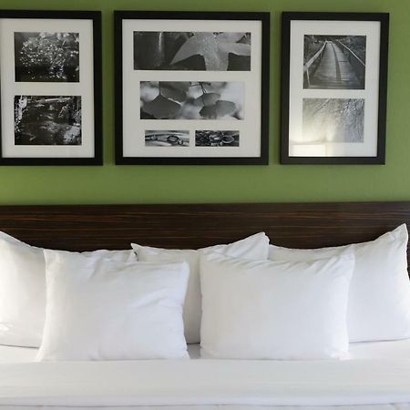 Sleep Inn & Suites Belmont - St. Clairsville Bagian luar foto